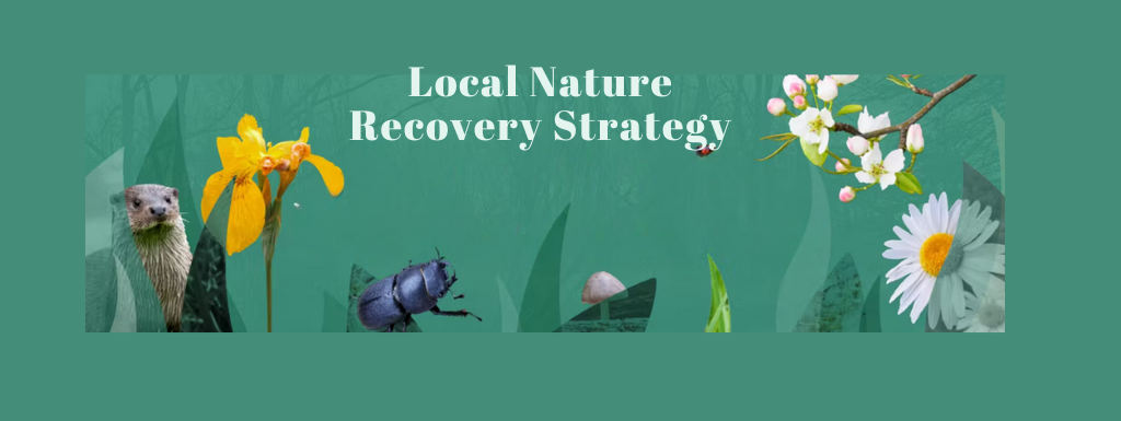Local Nature Recovery Strategy 